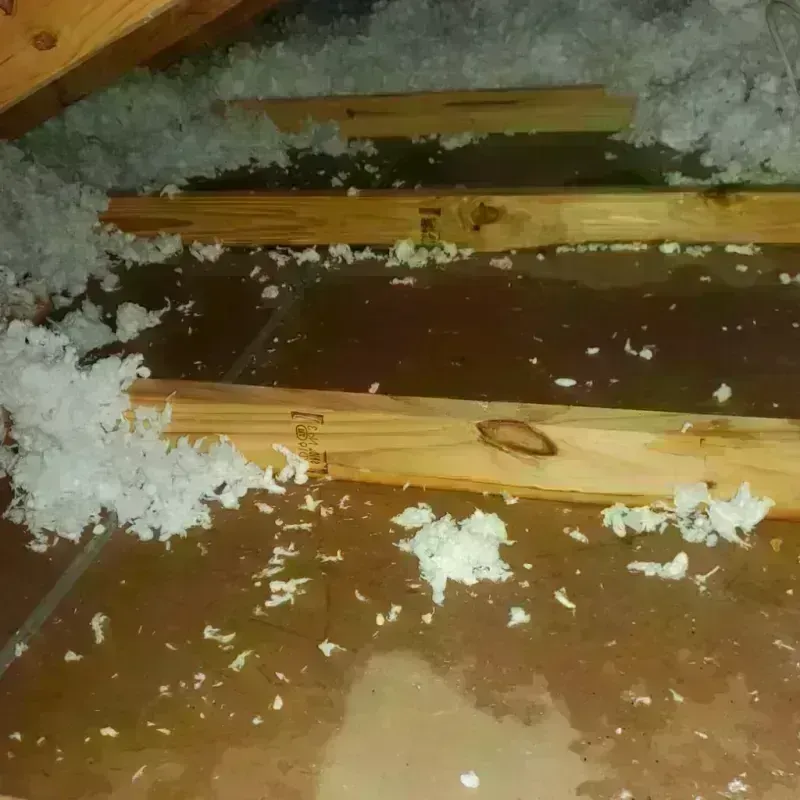 Attic Water Damage in Jemison, AL